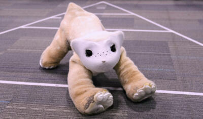 Massachusetts company aims to crack the household market with an AI-powered pet robot