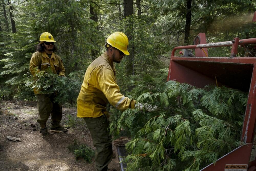Is Trump taking a chainsaw to the Forest Service?