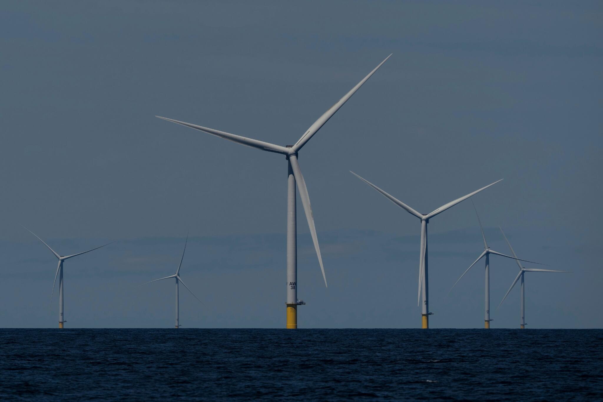 wbur.org - Frederick Hewett - The Department of the Interior canceled 4 wind farm leases. The particulars are problematic