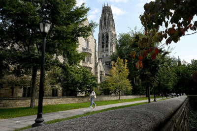 What Yale saw when it looked in the mirror