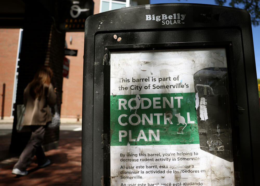 A woman walks past a Big Belly Solar trash can, part of the city's rodent control plan in Somerville, Mass., on August 28, 2025. (Jessica Rinaldi/The Boston Globe via Getty Images)