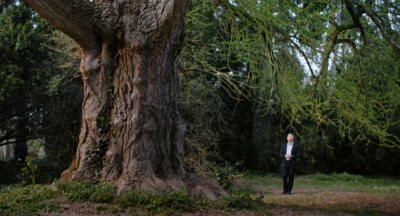 Buddy movie 'Silent Friend' is told from a tree's perspective