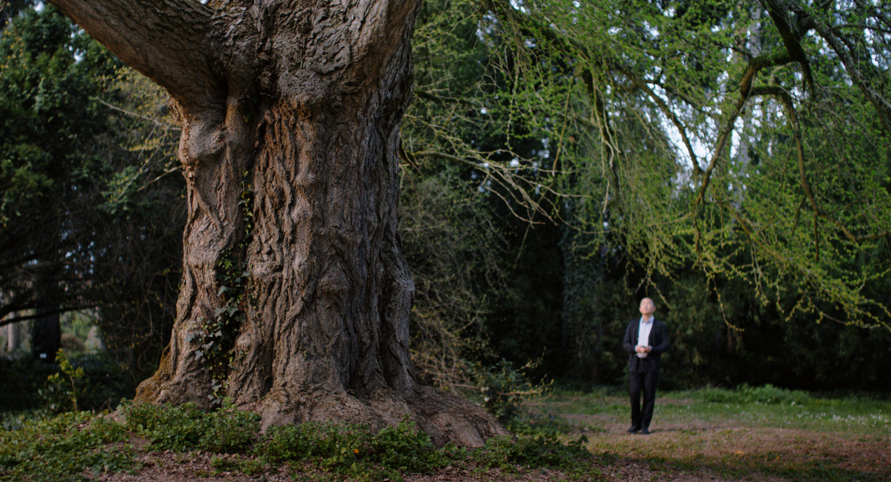 A still from director Ildikó Enyedi's film "Silent Friend." (Courtesy 1-2 Special)