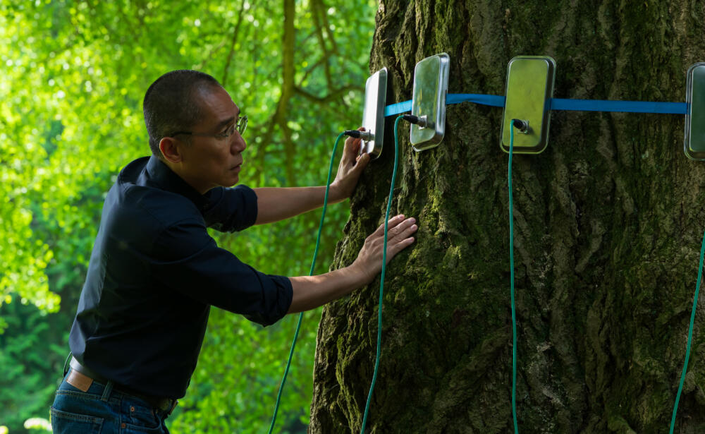 Tony Leung Chiu-wai in director Ildikó Enyedi's film "Silent Friend." (Courtesy 1-2 Special)