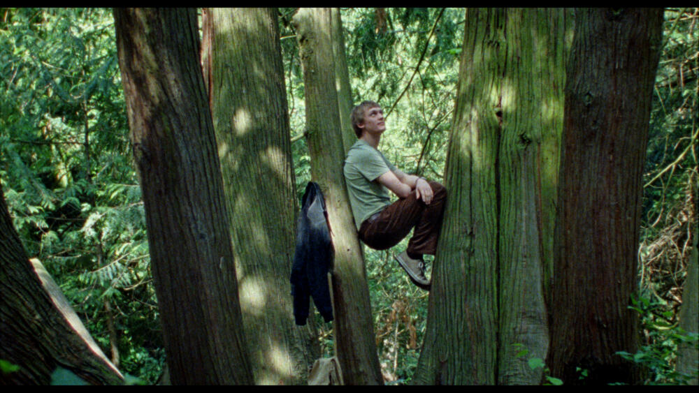 Enzo Brumm in director Ildikó Enyedi's film "Silent Friend." (Courtesy 1-2 Special)