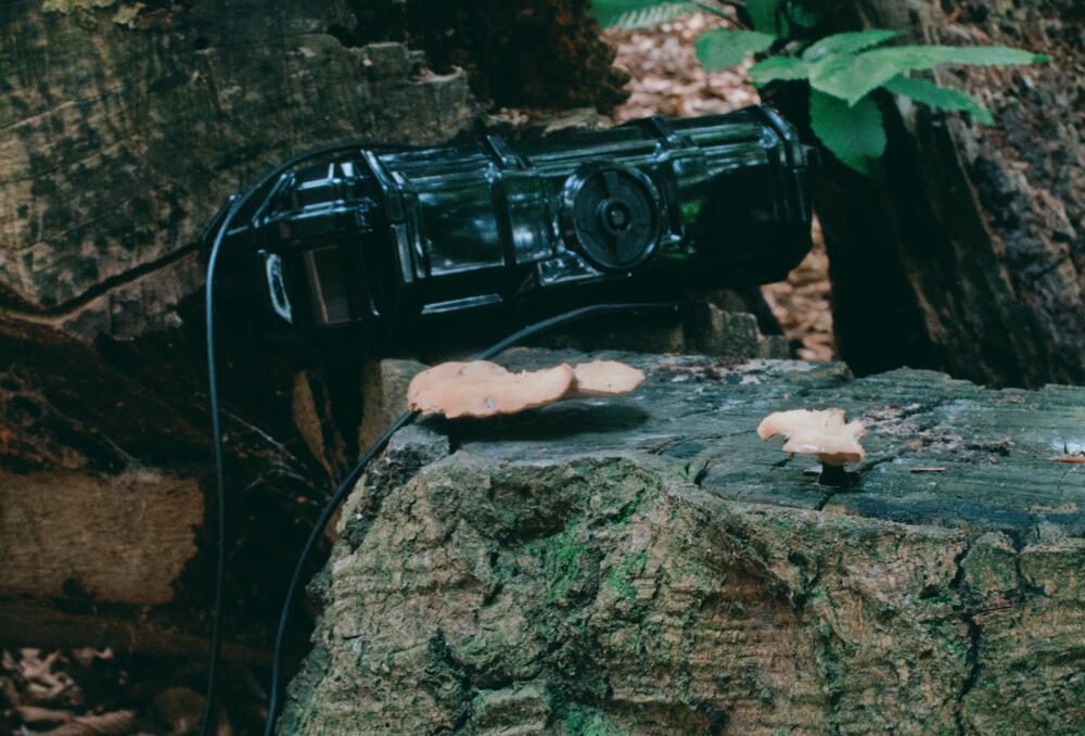 A geophone listening station. (Courtesy Skooby Laposky)