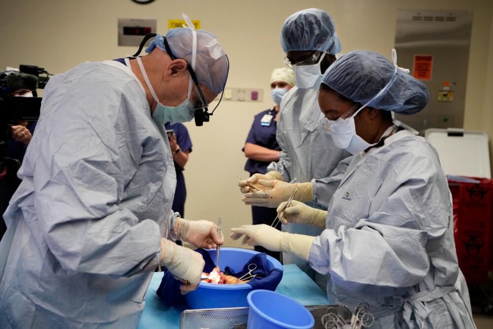 At 67, I donated a kidney. No one was more surprised than me