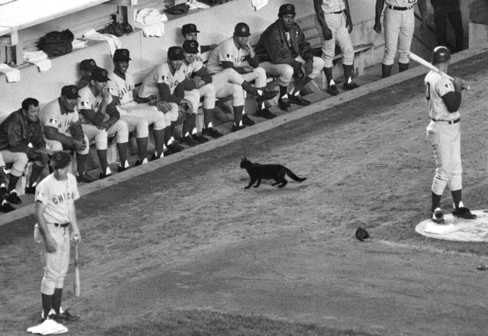 What makes baseball magic