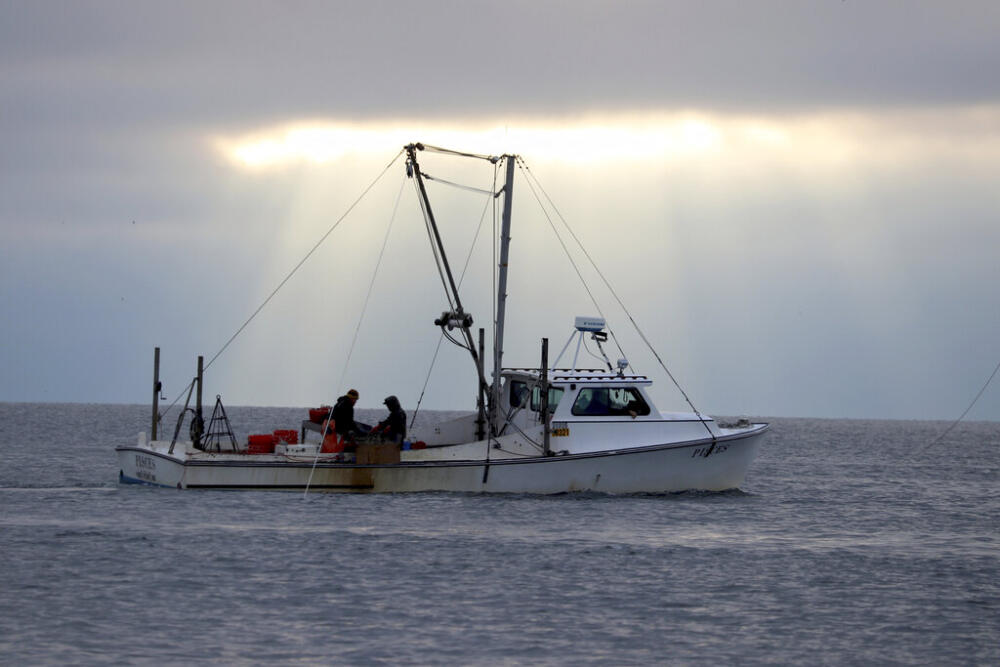 Will a historic sewage spill undo the Chesapeake Bay's restoration?