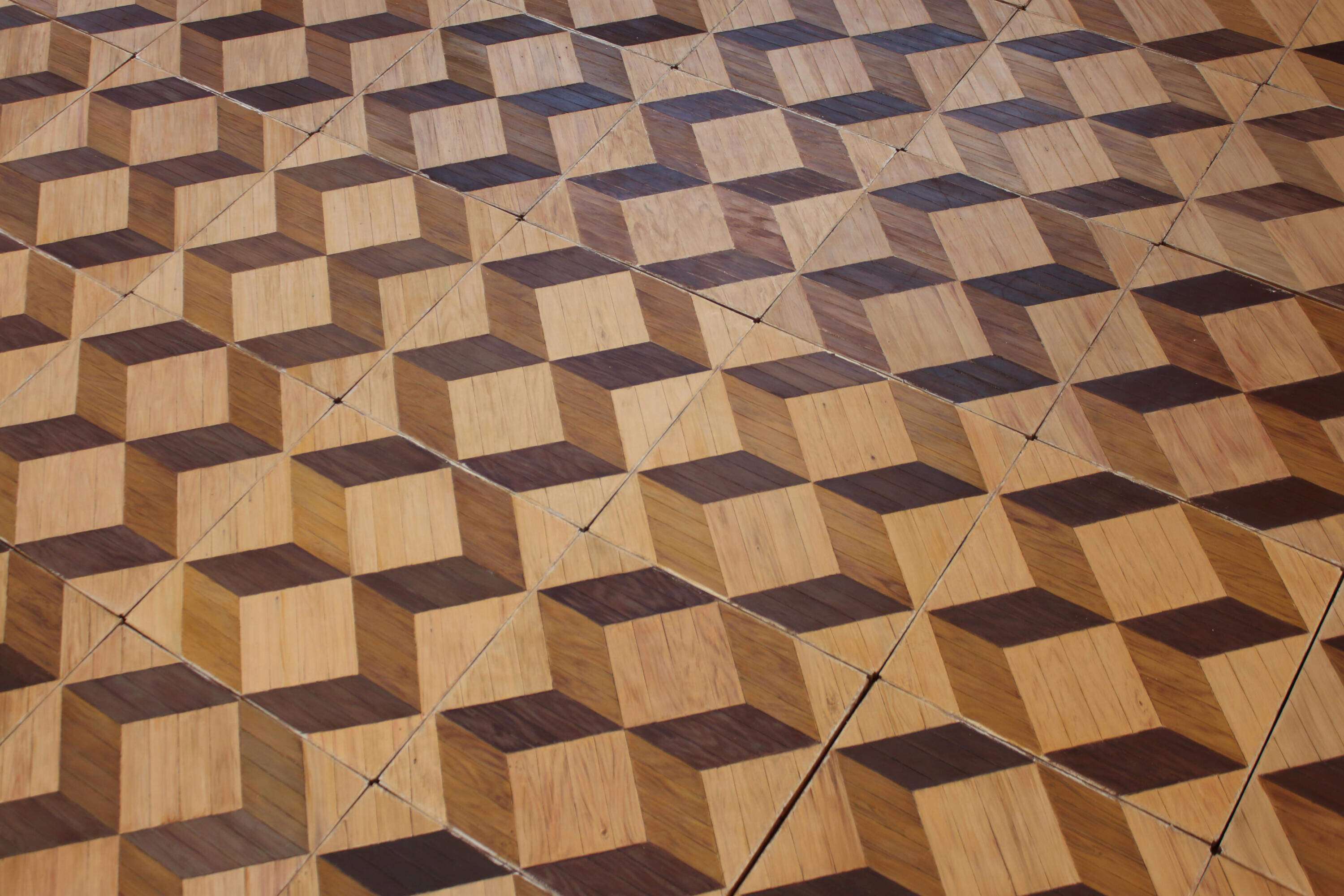 Image of Daniela Rivera's floor tiles. (Courtesy the artist)
