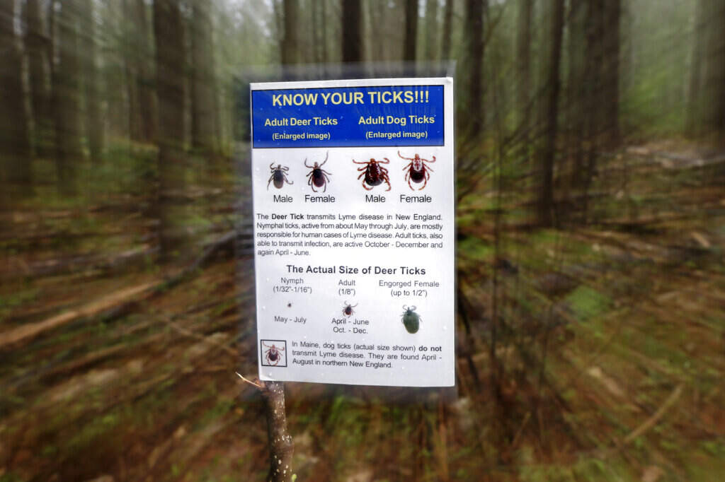 In this photo made Friday, May 9, 2014, an informational card about ticks distributed by the Maine Medical Center Research Institute is seen in the woods in Freeport, Maine. State officials say ticks are back with a vengeance, meaning tick-borne illnesses like Lyme disease will see no wain. No wane is expected in Lyme nationwide, either, in part because of climate change. (AP Photo/Robert F. Bukaty)