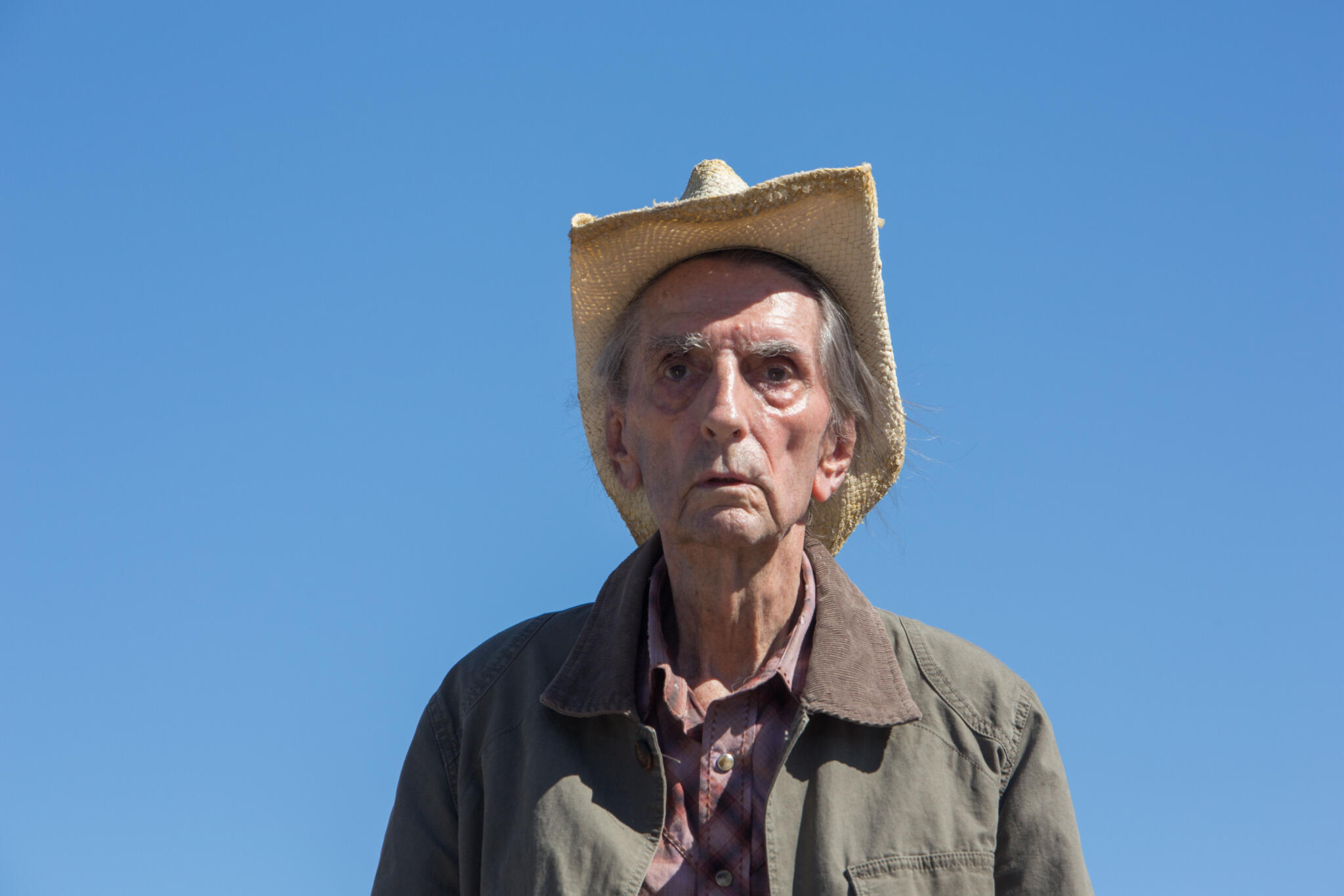 Celebrating a century of actor Harry Dean Stanton at the Brattle