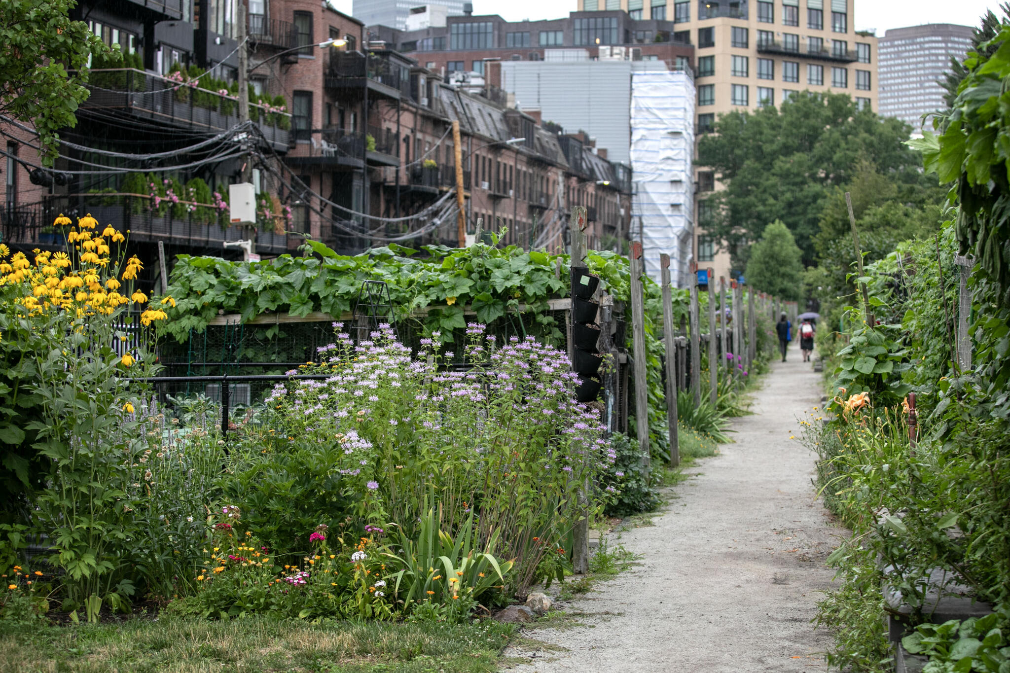 An oasis in Chinatown