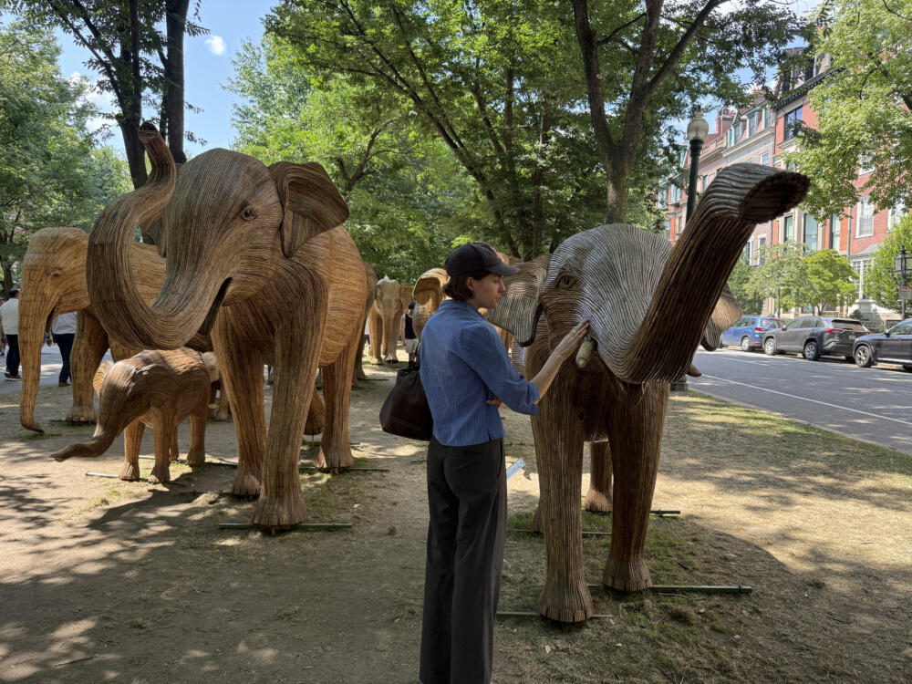 Elephants in Boston? Un-herd of! But visitors can't get enough of them 1 Visitors interact with The Great Elephant Migration. (Michael Scotto/Here & Now)
