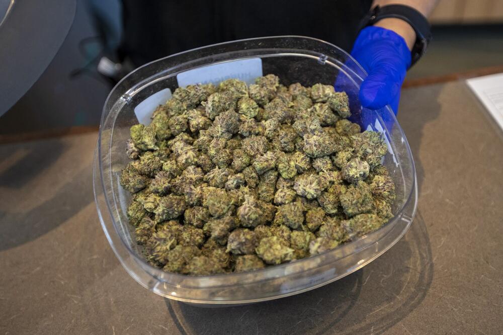 wbur.org - Katie Castellani, State House News Service - Mass. cannabis sector hits $10 billion in sales ahead of repeal vote