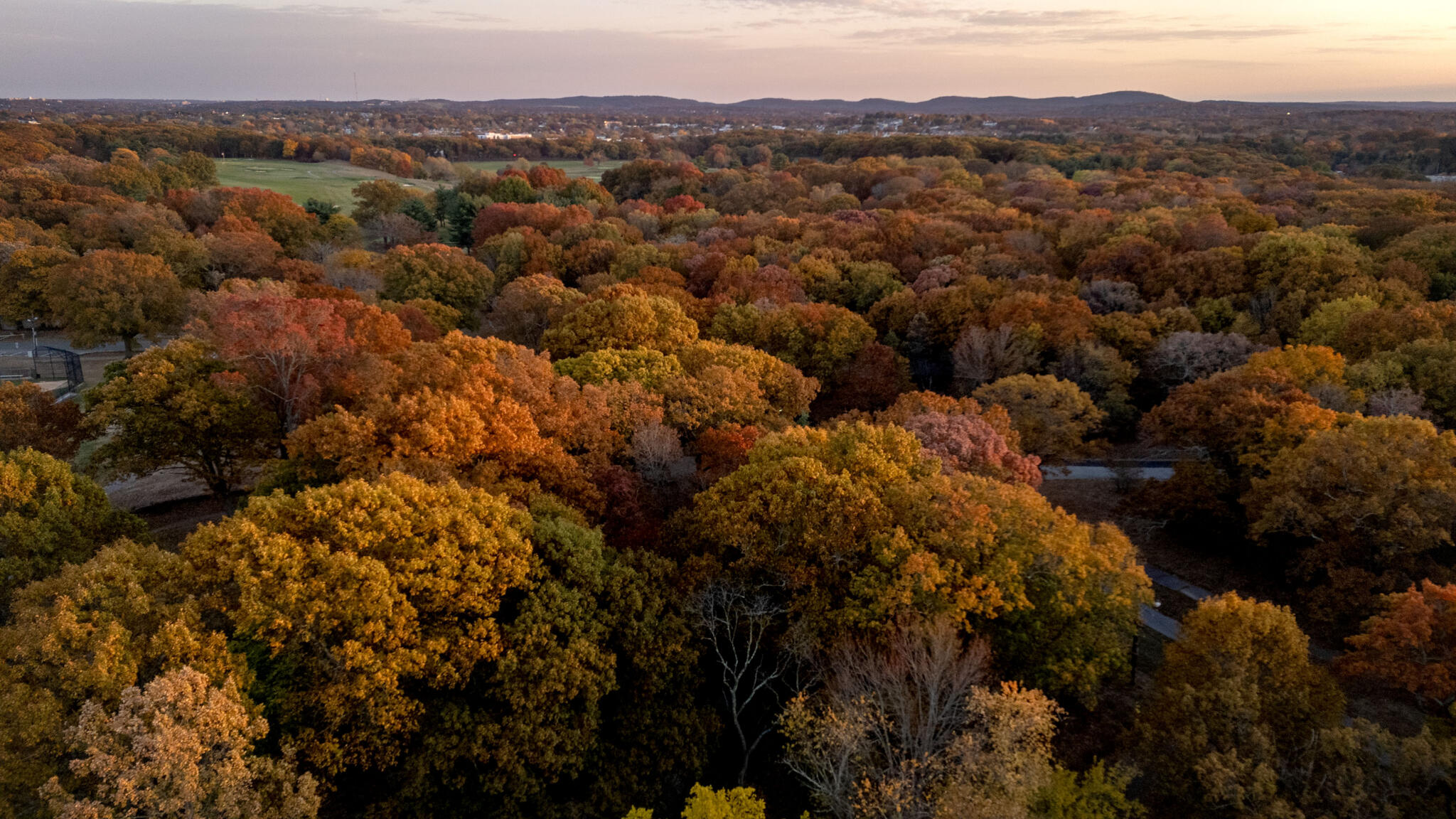What to expect for New England’s fall foliage season in 2026