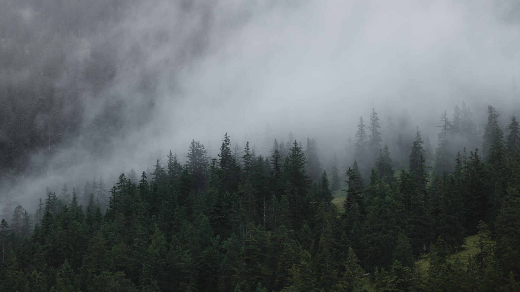 Why have so many of us seen ghosts?