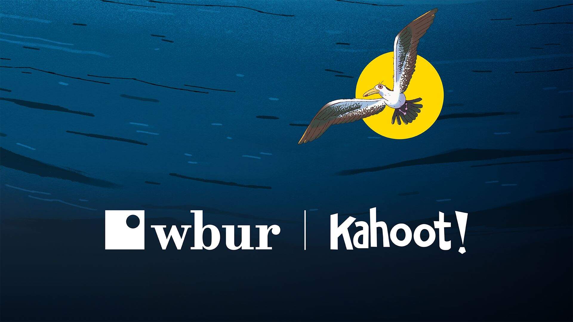 Bringing Climate Action to Classrooms: WBUR's 'The Midnight Rebellion' Teams Up with Kahoot! for In…