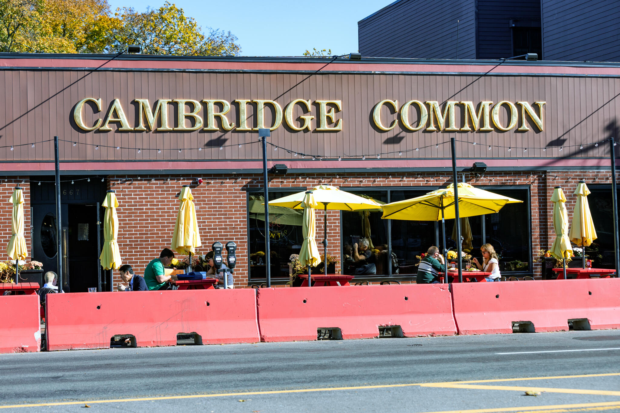 Lizard Lounge, Cambridge Common will close next year